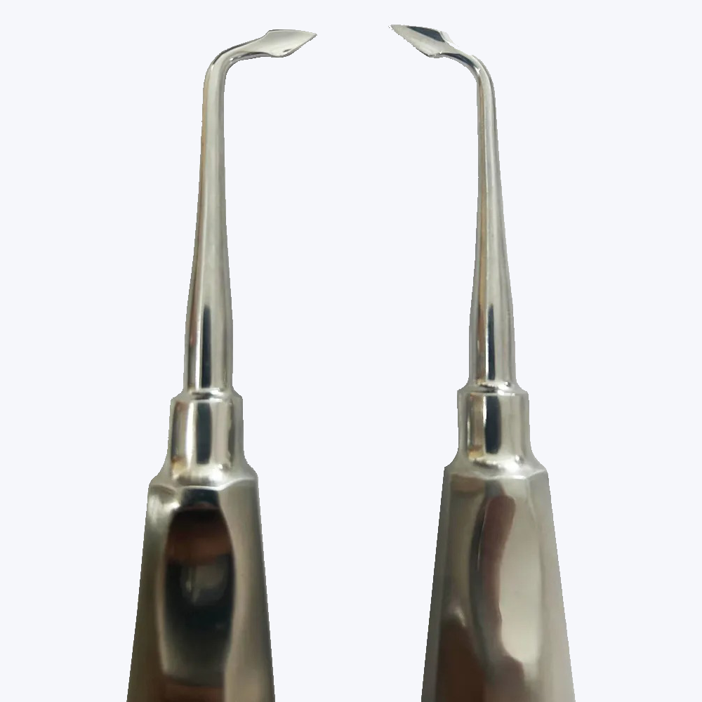 GDC Root Bernard Elevators